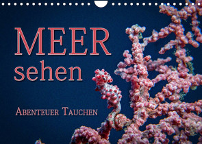 Meer sehen – Abenteuer Tauchen (Wandkalender 2023 DIN A4 quer) von Gödecke,  Dieter