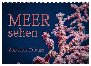 Meer sehen – Abenteuer Tauchen (Wandkalender 2024 DIN A2 quer), CALVENDO Monatskalender von Gödecke,  Dieter