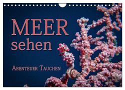Meer sehen – Abenteuer Tauchen (Wandkalender 2024 DIN A4 quer), CALVENDO Monatskalender von Gödecke,  Dieter