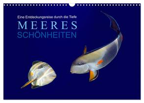 Meeres Schönheiten (Wandkalender 2024 DIN A3 quer), CALVENDO Monatskalender von Melz,  Tina