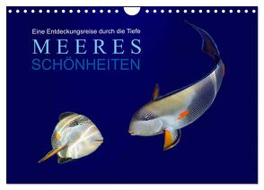 Meeres Schönheiten (Wandkalender 2024 DIN A4 quer), CALVENDO Monatskalender von Melz,  Tina