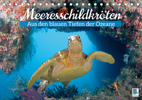 Meeresschildkröten: Aus den blauen Tiefen der Ozeane (Tischkalender 2023 DIN A5 quer) von CALVENDO