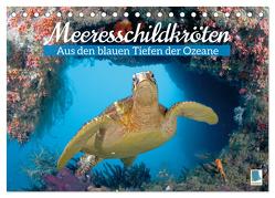 Meeresschildkröten: Aus den blauen Tiefen der Ozeane (Tischkalender 2024 DIN A5 quer), CALVENDO Monatskalender von CALVENDO,  CALVENDO