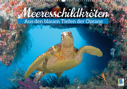 Meeresschildkröten: Aus den blauen Tiefen der Ozeane (Wandkalender 2023 DIN A2 quer) von CALVENDO