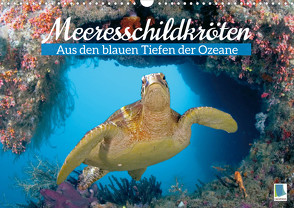 Meeresschildkröten: Aus den blauen Tiefen der Ozeane (Wandkalender 2023 DIN A3 quer) von CALVENDO