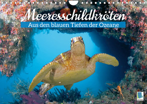 Meeresschildkröten: Aus den blauen Tiefen der Ozeane (Wandkalender 2023 DIN A4 quer) von CALVENDO