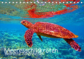 Meeresschildkröten – Bedrohte Schönheiten (Tischkalender 2022 DIN A5 quer) von Hess,  Andrea