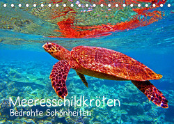 Meeresschildkröten – Bedrohte Schönheiten (Tischkalender 2023 DIN A5 quer) von Hess,  Andrea