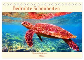 Meeresschildkröten – Bedrohte Schönheiten (Tischkalender 2024 DIN A5 quer), CALVENDO Monatskalender von Hess,  Andrea