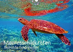 Meeresschildkröten – Bedrohte Schönheiten (Wandkalender 2018 DIN A3 quer) von Hess,  Andrea