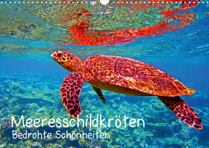 Meeresschildkröten – Bedrohte Schönheiten (Wandkalender 2020 DIN A3 quer) von Hess,  Andrea