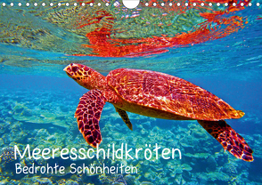Meeresschildkröten – Bedrohte Schönheiten (Wandkalender 2020 DIN A4 quer) von Hess,  Andrea