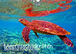 Meeresschildkröten – Bedrohte Schönheiten (Wandkalender 2022 DIN A3 quer) von Hess,  Andrea