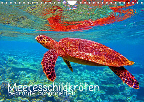 Meeresschildkröten – Bedrohte Schönheiten (Wandkalender 2022 DIN A4 quer) von Hess,  Andrea