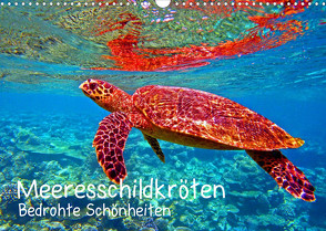 Meeresschildkröten – Bedrohte Schönheiten (Wandkalender 2023 DIN A3 quer) von Hess,  Andrea