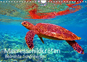 Meeresschildkröten – Bedrohte Schönheiten (Wandkalender 2023 DIN A4 quer) von Hess,  Andrea
