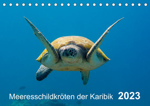 Meeresschildkröten der Karibik (Tischkalender 2023 DIN A5 quer) von - Yvonne & Tilo Kühnast,  naturepics