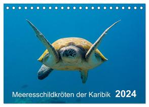 Meeresschildkröten der Karibik (Tischkalender 2024 DIN A5 quer), CALVENDO Monatskalender von - Yvonne & Tilo Kühnast,  naturepics