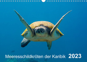 Meeresschildkröten der Karibik (Wandkalender 2023 DIN A3 quer) von - Yvonne & Tilo Kühnast,  naturepics