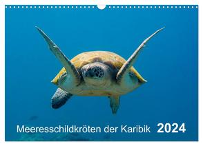 Meeresschildkröten der Karibik (Wandkalender 2024 DIN A3 quer), CALVENDO Monatskalender von - Yvonne & Tilo Kühnast,  naturepics