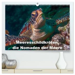 Meeresschildkröten, die Nomaden der Meere (hochwertiger Premium Wandkalender 2024 DIN A2 quer), Kunstdruck in Hochglanz von Gödecke,  Dieter