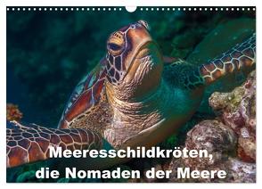 Meeresschildkröten, die Nomaden der Meere (Wandkalender 2024 DIN A3 quer), CALVENDO Monatskalender von Gödecke,  Dieter