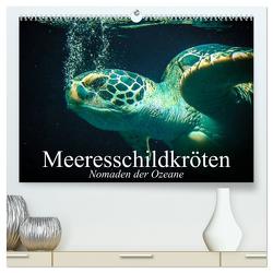 Meeresschildkröten. Nomaden der Ozeane (hochwertiger Premium Wandkalender 2024 DIN A2 quer), Kunstdruck in Hochglanz von Stanzer,  Elisabeth