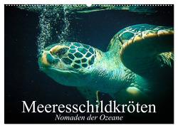 Meeresschildkröten. Nomaden der Ozeane (Wandkalender 2024 DIN A2 quer), CALVENDO Monatskalender von Stanzer,  Elisabeth