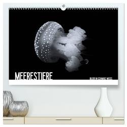 Meerestiere Bilder in Schwarz Weiss (hochwertiger Premium Wandkalender 2024 DIN A2 quer), Kunstdruck in Hochglanz von Meutzner,  Dirk