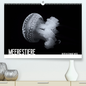 Meerestiere Bilder in Schwarz Weiss (Premium, hochwertiger DIN A2 Wandkalender 2021, Kunstdruck in Hochglanz) von Meutzner,  Dirk