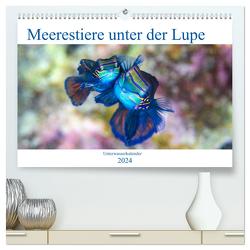 Meerestiere unter der Lupe – Unterwasserkalender (hochwertiger Premium Wandkalender 2024 DIN A2 quer), Kunstdruck in Hochglanz von Gruse,  Sven