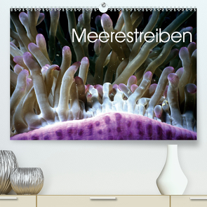 Meerestreiben (Premium, hochwertiger DIN A2 Wandkalender 2020, Kunstdruck in Hochglanz) von Weiss,  Michael