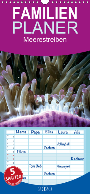 Meerestreiben – Unterwasser – Familienplaner hoch (Wandkalender 2020 , 21 cm x 45 cm, hoch) von Weiss,  Michael