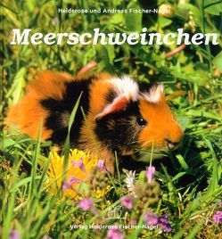 Meerschweinchen von Fischer-Nagel Andreas, Fischer-Nagel,  Heiderose