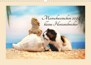Meerschweinchen 2023, kleine Herzensbrecher (Wandkalender 2023 DIN A3 quer) von Foto Grafia Fotografie,  Anja