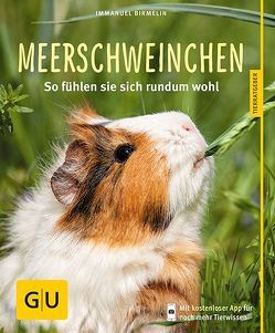 Meerschweinchen von Birmelin,  Immanuel