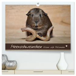 Meerschweinchen – Kleine süße Fellnasen (hochwertiger Premium Wandkalender 2024 DIN A2 quer), Kunstdruck in Hochglanz von Fischer,  Petra