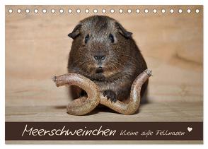 Meerschweinchen – Kleine süße Fellnasen (Tischkalender 2024 DIN A5 quer), CALVENDO Monatskalender von Fischer,  Petra