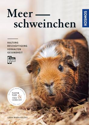 Meerschweinchen von Koldau,  Linda Maria