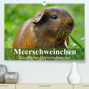 Meerschweinchen Niedliche Herzensbrecher (Premium, hochwertiger DIN A2 Wandkalender 2022, Kunstdruck in Hochglanz) von Stanzer,  Elisabeth