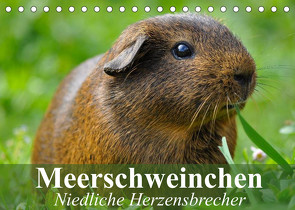 Meerschweinchen Niedliche Herzensbrecher (Tischkalender 2022 DIN A5 quer) von Stanzer,  Elisabeth