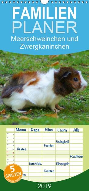 Meerschweinchen und Zwergkaninchen – Familienplaner hoch (Wandkalender 2019 , 21 cm x 45 cm, hoch) von kattobello