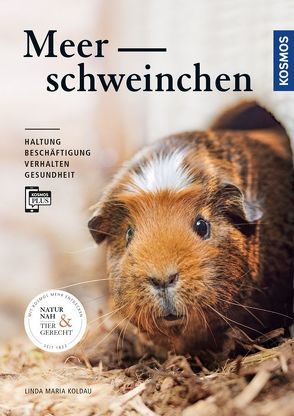 Meerschweinchen von Koldau,  Linda Maria