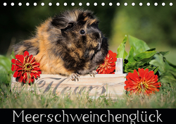 Meerschweinchenglück (Tischkalender 2021 DIN A5 quer) von Scharnberg,  Sabine