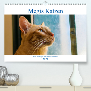 Megis Katzen (Premium, hochwertiger DIN A2 Wandkalender 2021, Kunstdruck in Hochglanz) von Kovac,  Megi