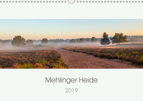 Mehlinger Heide (Wandkalender 2019 DIN A3 quer) von Flatow,  Patricia