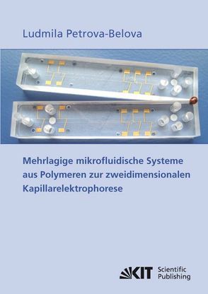 Mehrlagige mikrofluidische Systeme aus Polymeren zur zweidimensionalen Kapillarelektrophorese von Petrova-Belova,  Ludmila