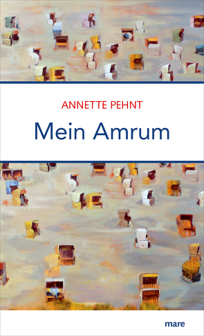 Mein Amrum von Pehnt,  Annette