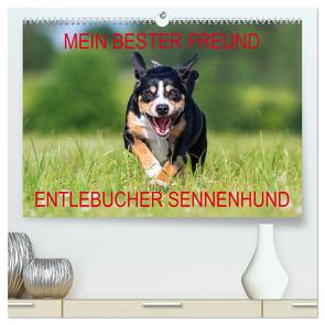 Mein bester Freund – Entlebucher Sennenhund (hochwertiger Premium Wandkalender 2024 DIN A2 quer), Kunstdruck in Hochglanz