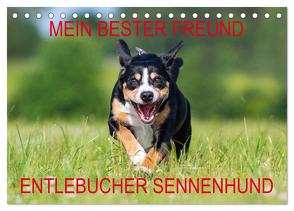 Mein bester Freund – Entlebucher Sennenhund (Tischkalender 2024 DIN A5 quer), CALVENDO Monatskalender